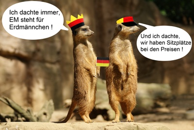 by Peter Hebgen_pixelio.de