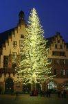 220px-weihnachtsbaum_roemerberg